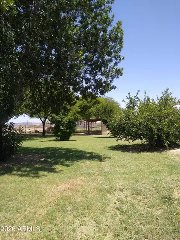 a view of green field