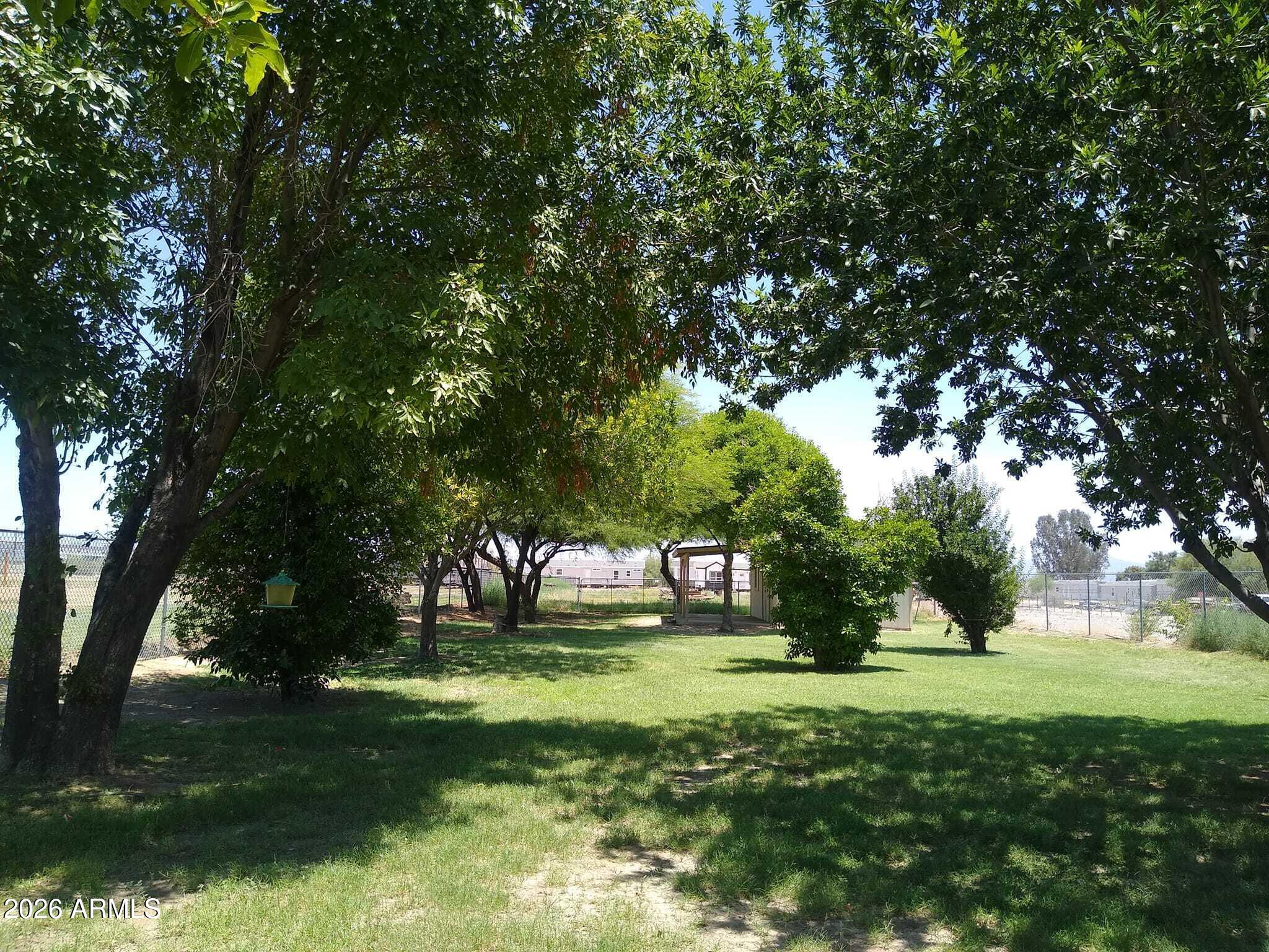 242 North Pima Road Buckeye, AZ 85326 - Photo 21 of 21 GREEN WHEN IRRIGATED