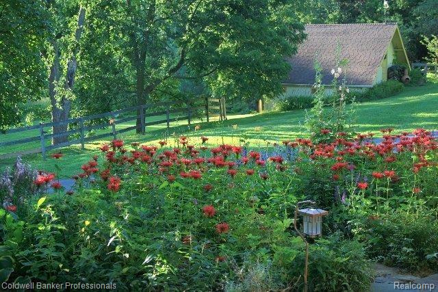 4791 Inkster Road Bloomfield Hills, MI 48302 - Photo 19 of 23 POPPIES IN SPRING/SUMMER