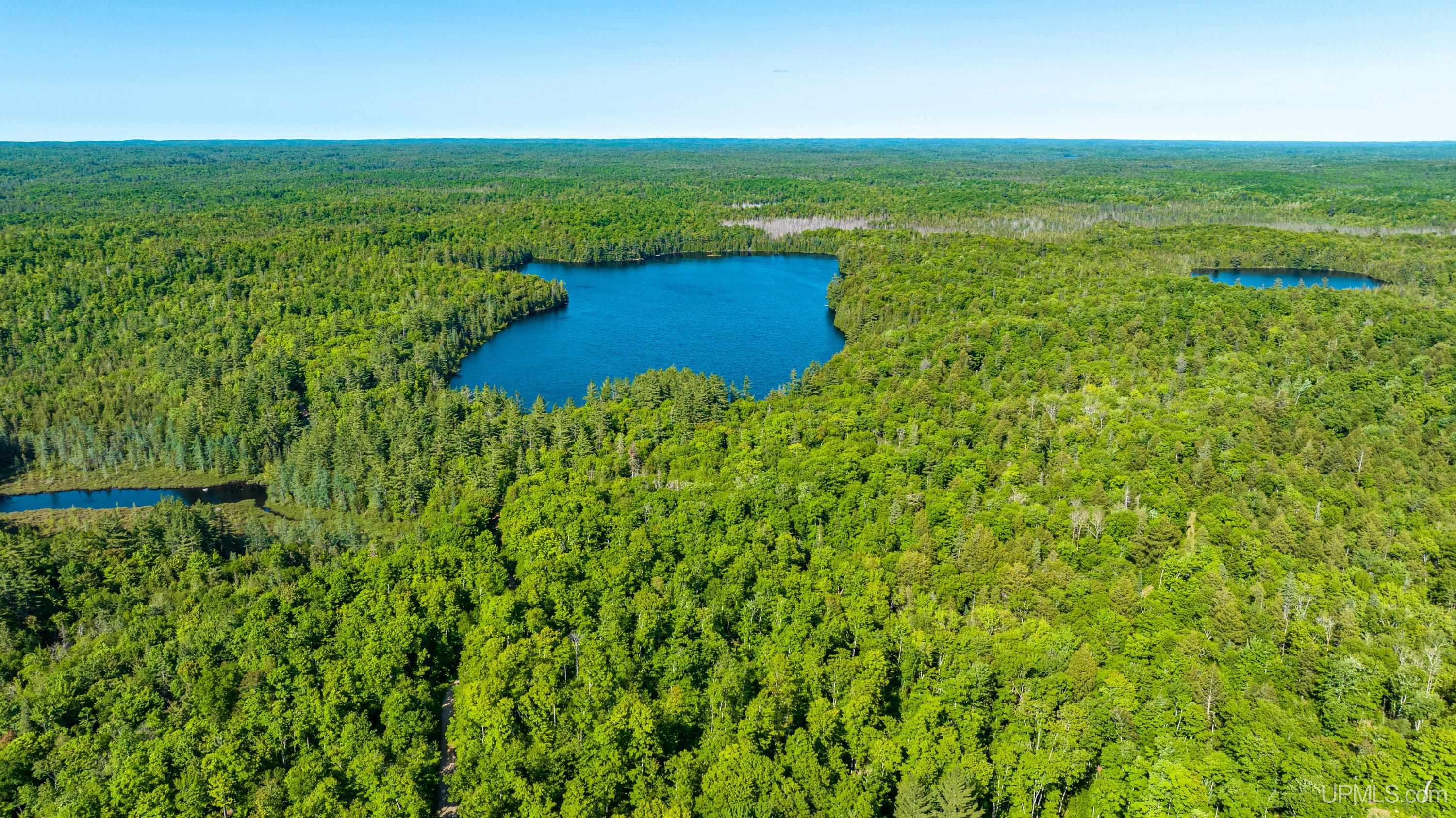 Tbd Tbd Dommer Lake Road Michigamme, MI 49861 - Photo 24 of 25