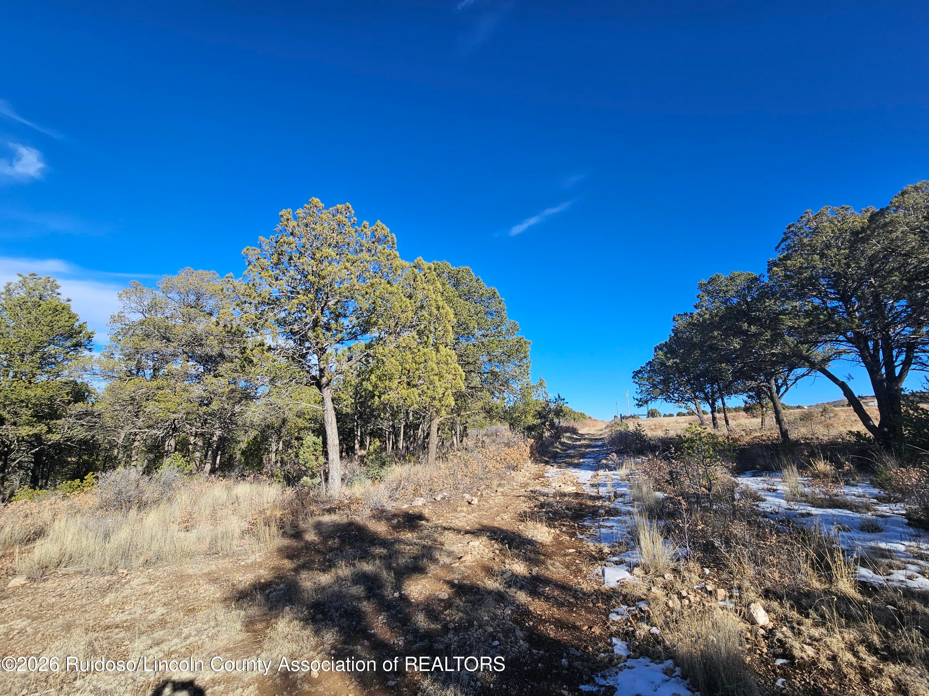 10s Range 14e Sec 33 Ruidoso, NM 88345 - Photo 4 of 10 Gallery Image 4
