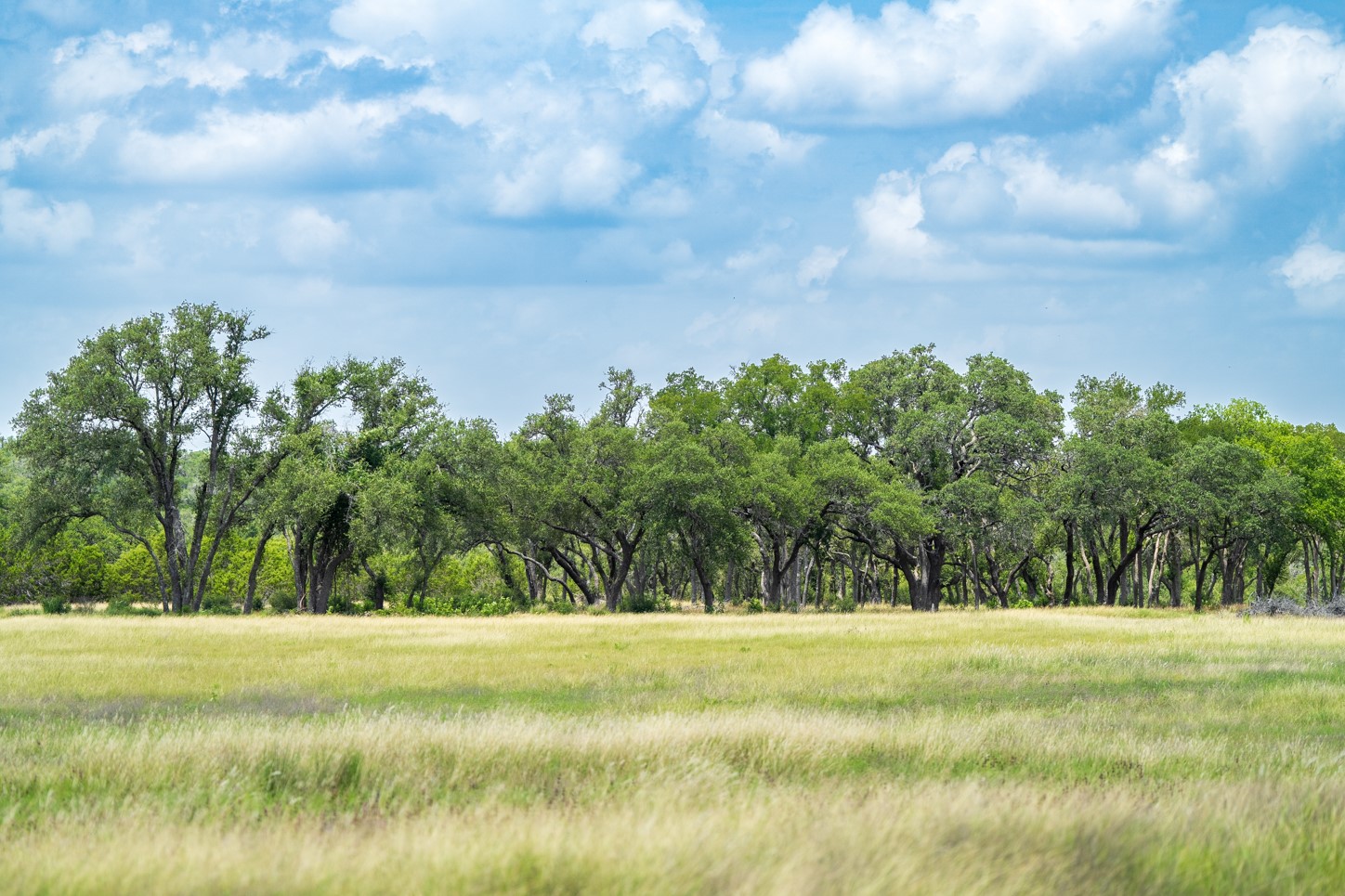 3979 Chimney Valley Road Blanco, TX 78606 - Photo 22 of 34 a view of outdoor space with garden