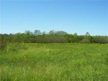 15 Johnson Road Murfreesboro, TN 37127 - Photo 4 of 6 Gallery Image 4