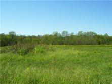 15 Johnson Road Murfreesboro, TN 37127 - Photo 5 of 6 Gallery Image 5
