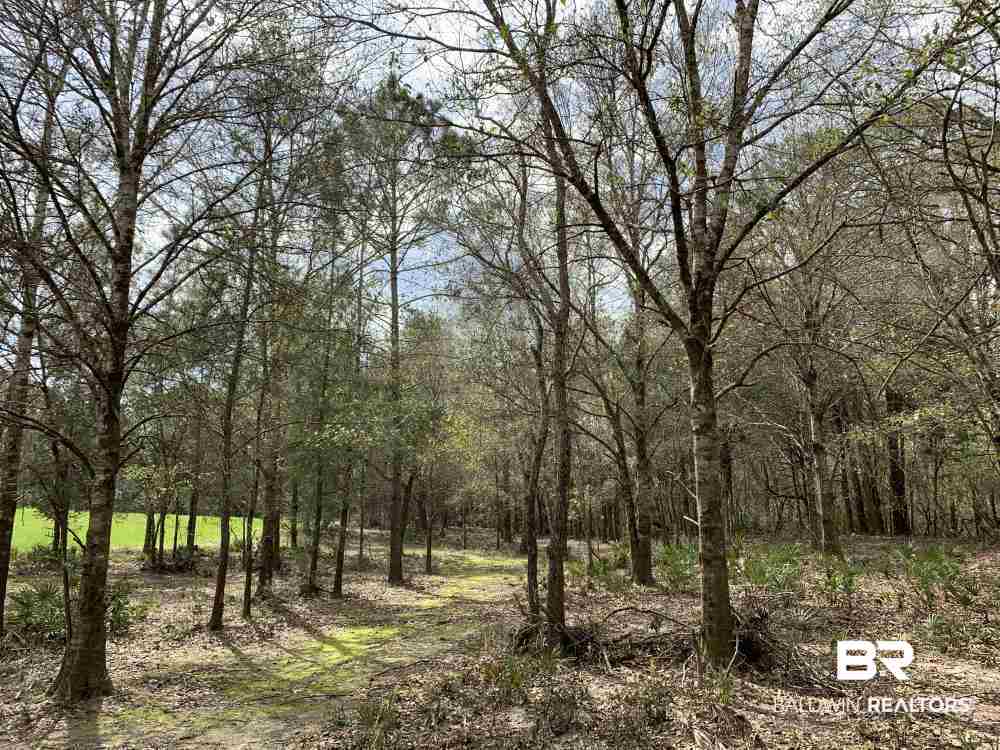 17525 Joe Gottler Road Elberta, AL 36530 - Photo 5 of 44