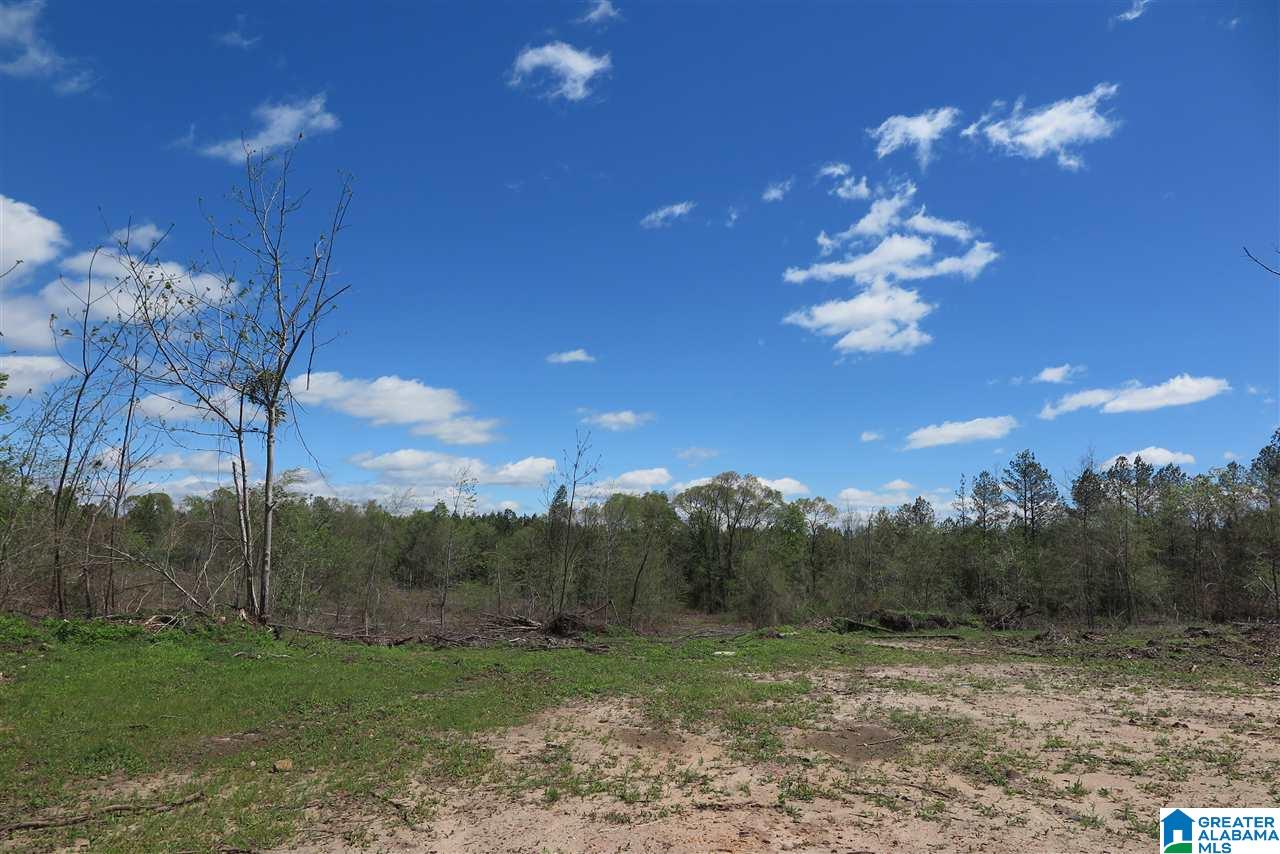 176 County Road, Unit 122 Five Points, AL 36855 - Photo 3 of 10