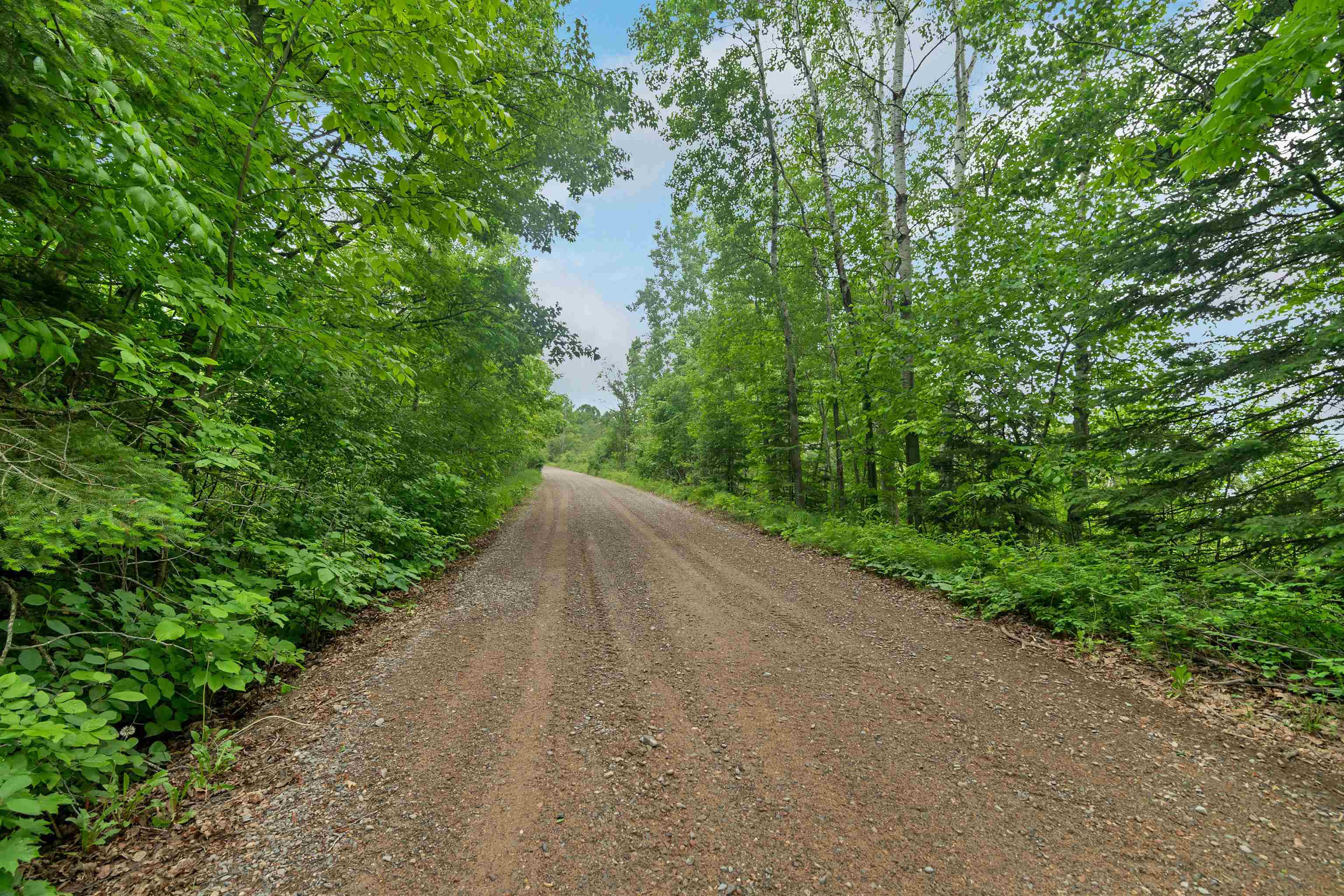 3159 Williams Road Long Lake, WI 54542 - Photo 66 of 90