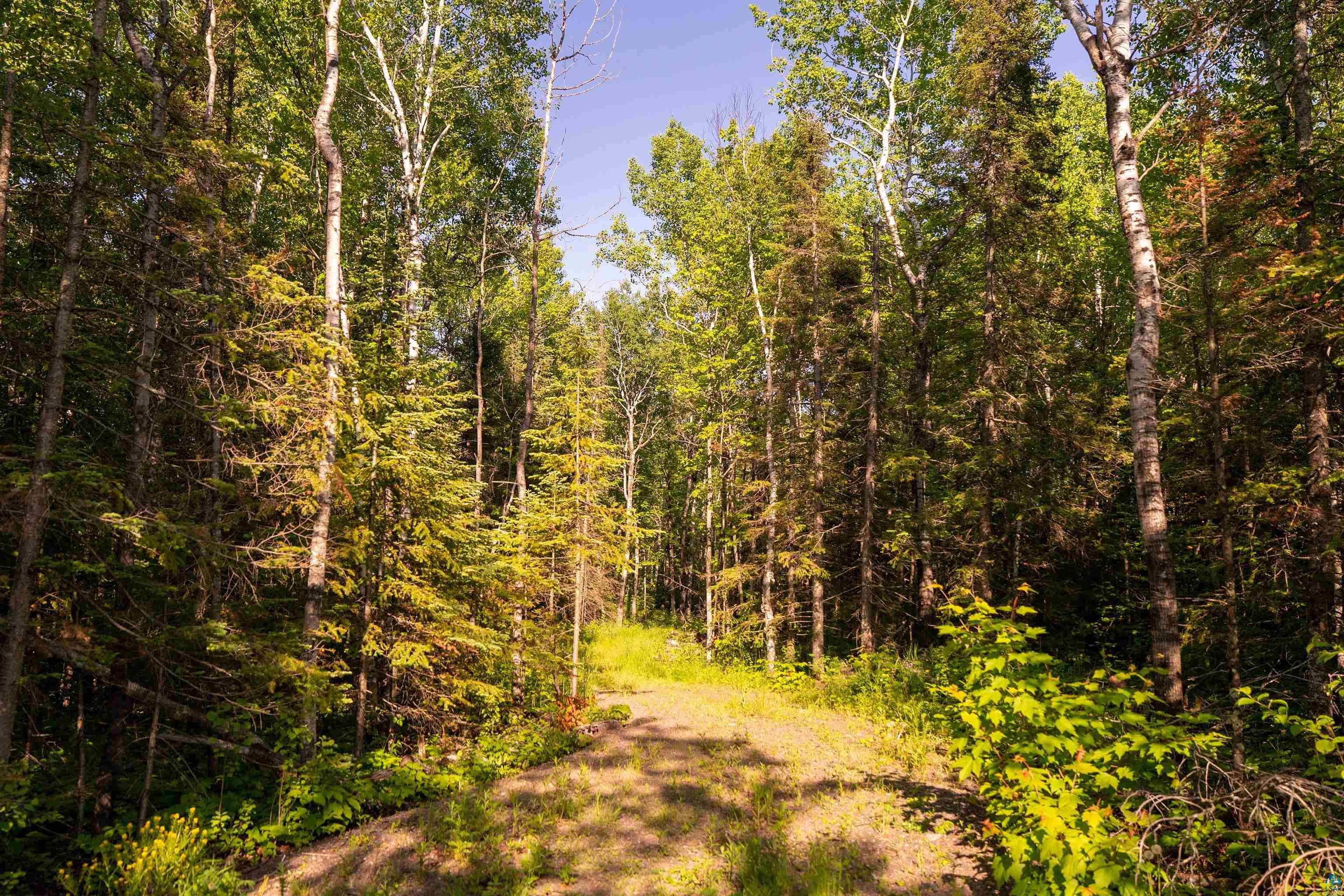 58-xx McQuade Road Duluth, MN 55804 - Photo 11 of 26