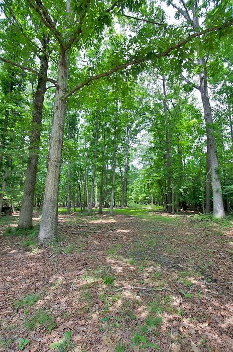 9706 Rougemont Road Bahama, NC 27503 - Photo 18 of 21 Photo 18