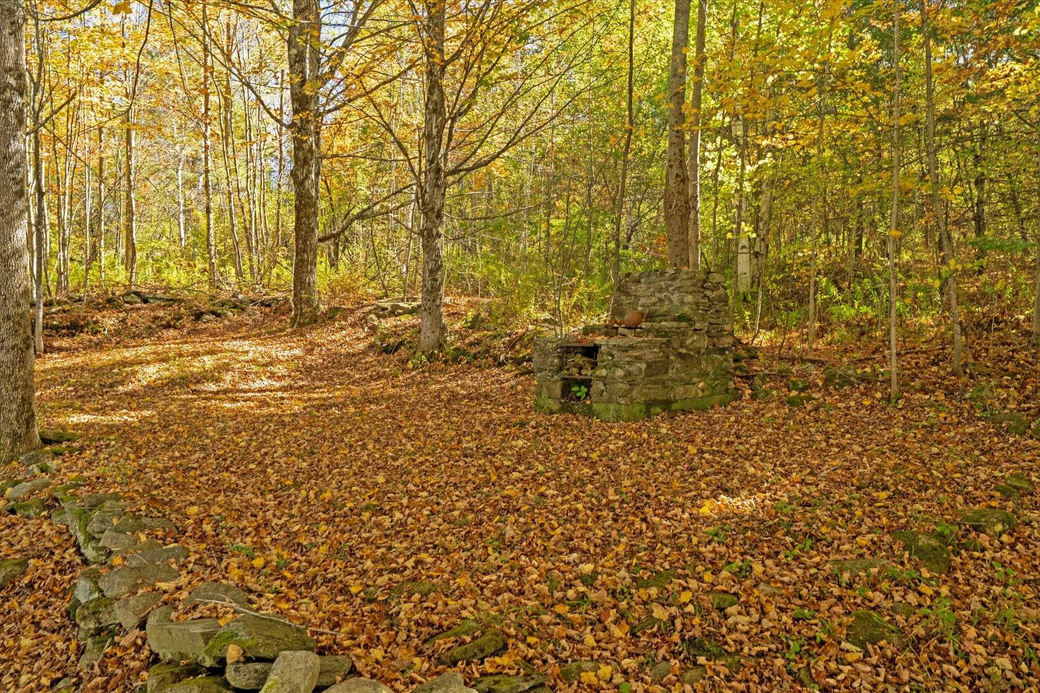 102 Church Street Mount Holly, VT 05730 - Photo 52 of 60