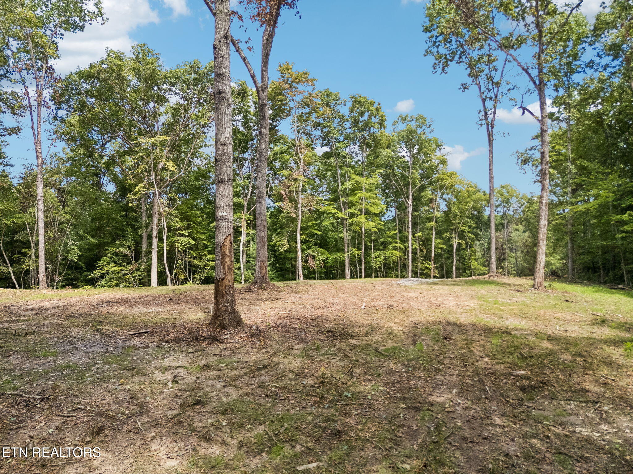 Sheep Ranch Road, Unit TRACT 7 Robbins, TN 37852 - Photo 23 of 35 29-1 Sheep Ranch Rd Lot 7 - 029