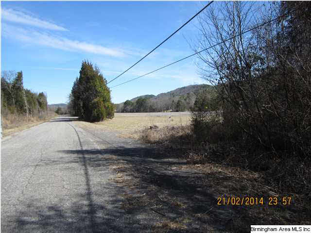 75 Highway 75, Unit 42 Remlap, AL 35133 - Photo 2 of 10