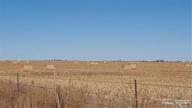 0 South Johnson Road Rush, CO 80833 - Photo 4 of 22