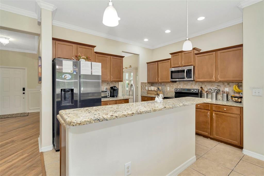 313 Shell Manor Drive Ruskin, FL 33570 - Photo 6 of 47