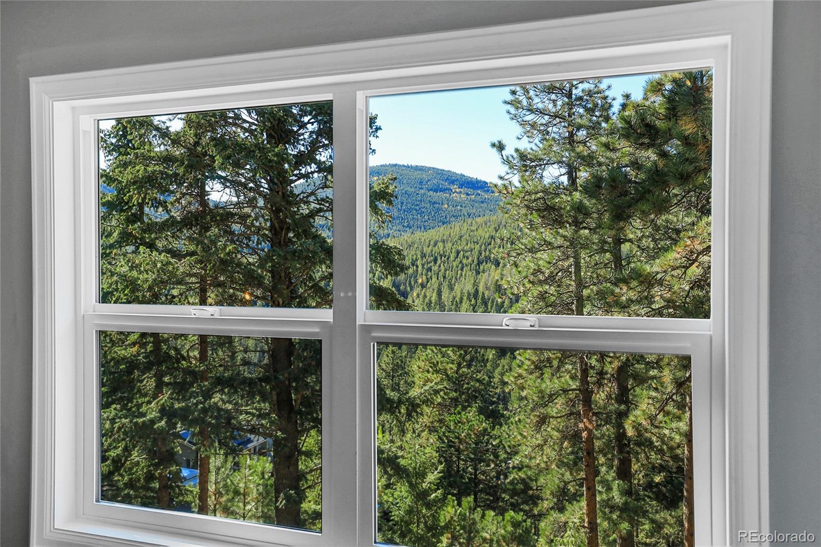 32857 Little Cub Road Evergreen, CO 80439 - Photo 30 of 48 a view of a garden from a window