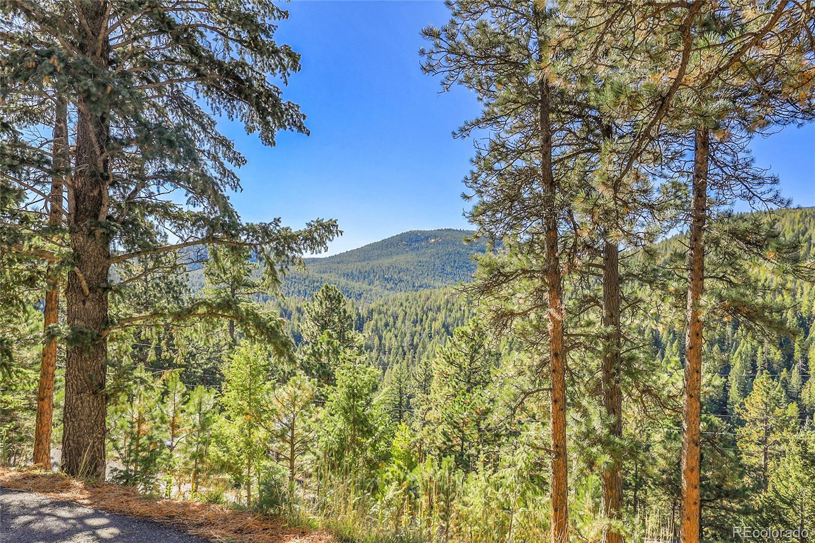 32857 Little Cub Road Evergreen, CO 80439 - Photo 3 of 47 a view of a field with plants and trees