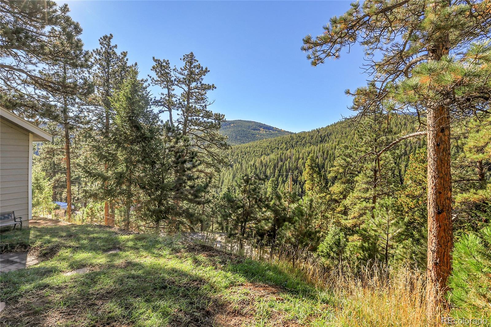 32857 Little Cub Road Evergreen, CO 80439 - Photo 45 of 47 a view of a yard with a tree