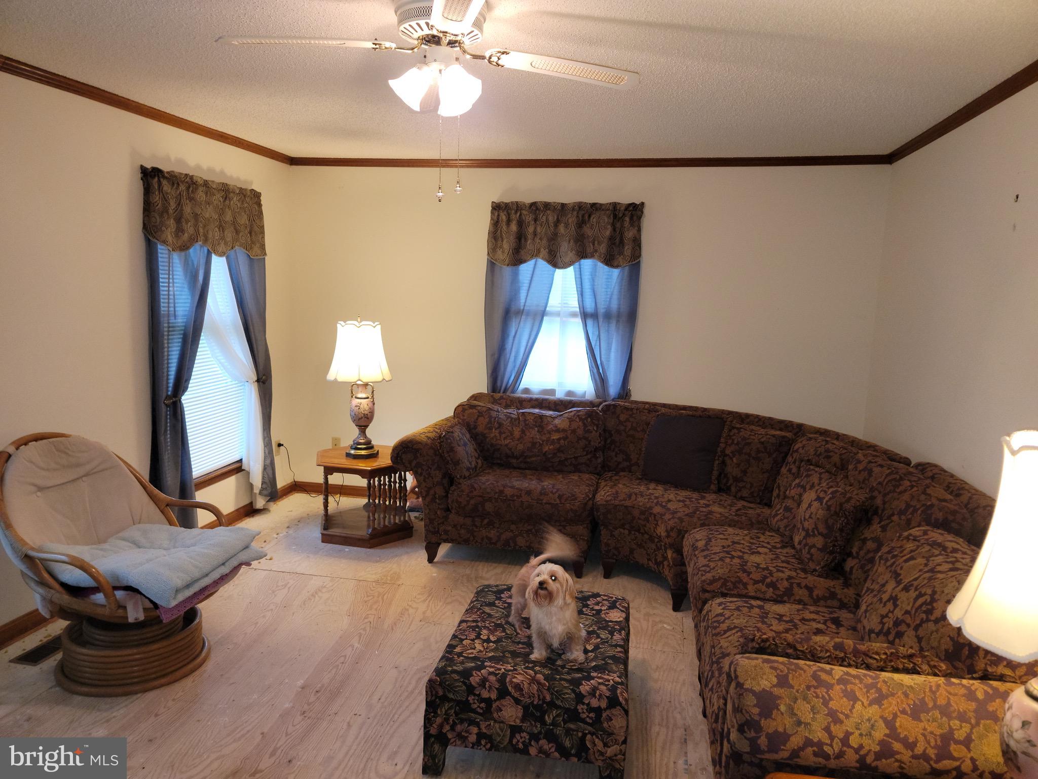 8015 Libertytown Road Berlin, MD 21811 - Photo 3 of 51 Living room
