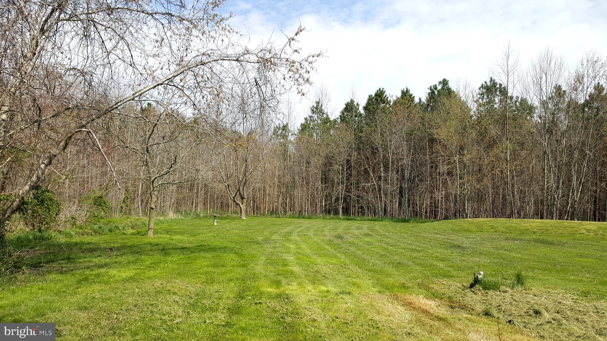 8015 Libertytown Road Berlin, MD 21811 - Photo 27 of 51 Back Yard