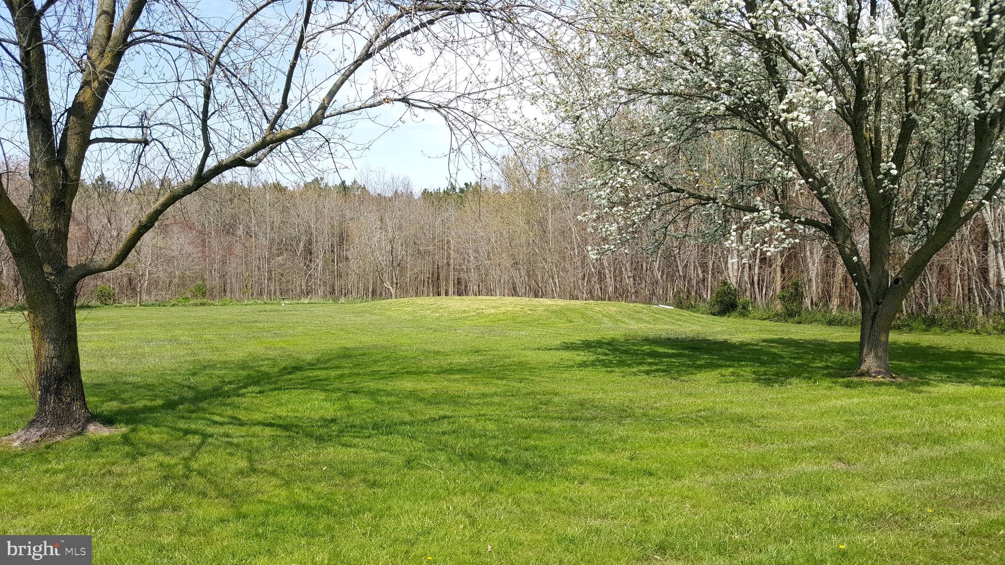 8015 Libertytown Road Berlin, MD 21811 - Photo 37 of 51 Side Yard