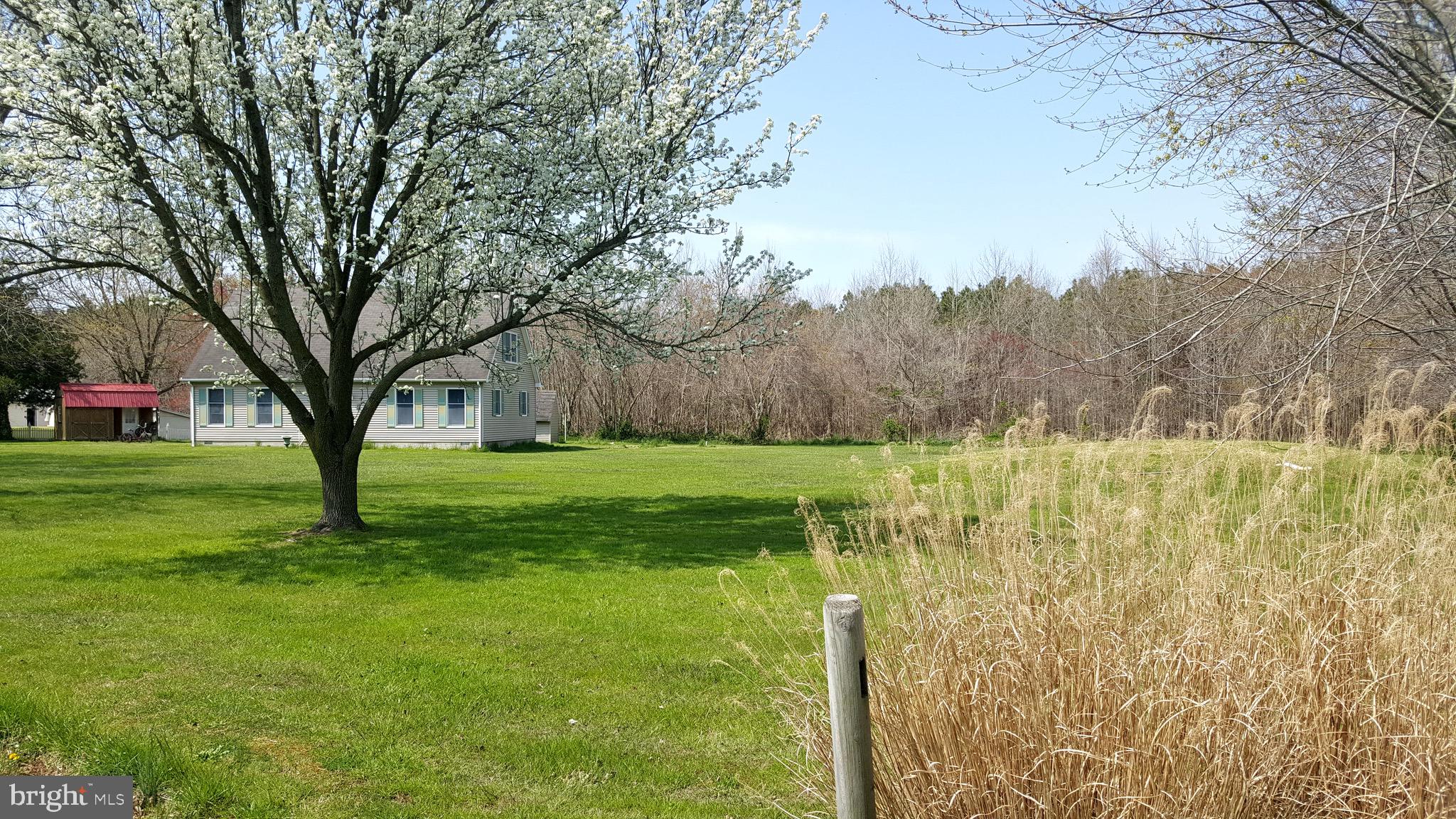 8015 Libertytown Road Berlin, MD 21811 - Photo 40 of 51 View from Northeast corner of property
