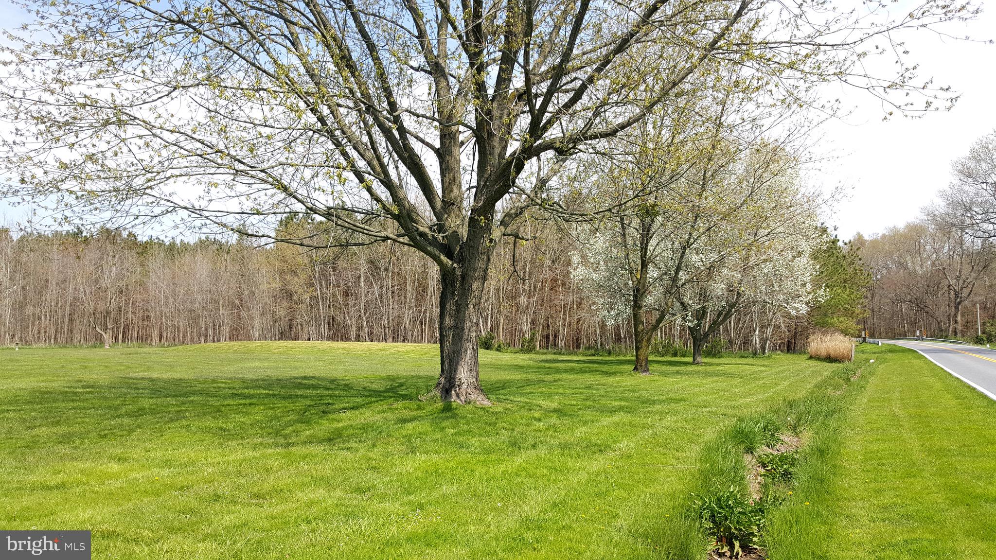 8015 Libertytown Road Berlin, MD 21811 - Photo 41 of 51 Road View