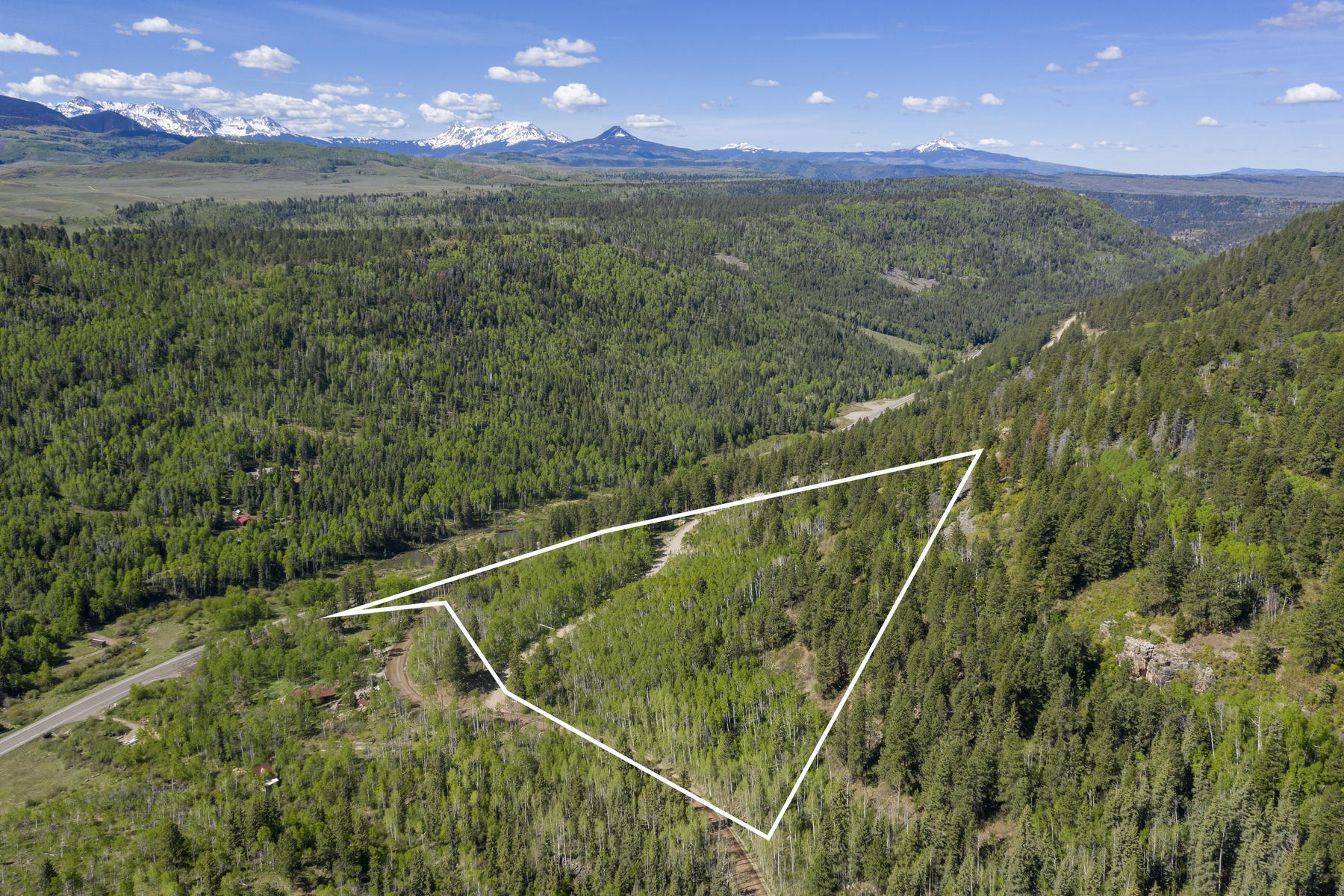 Lot 1 Sky Mountain Ranch Road Placerville, CO 81430 - Photo 10 of 13 a view of a lush green forest