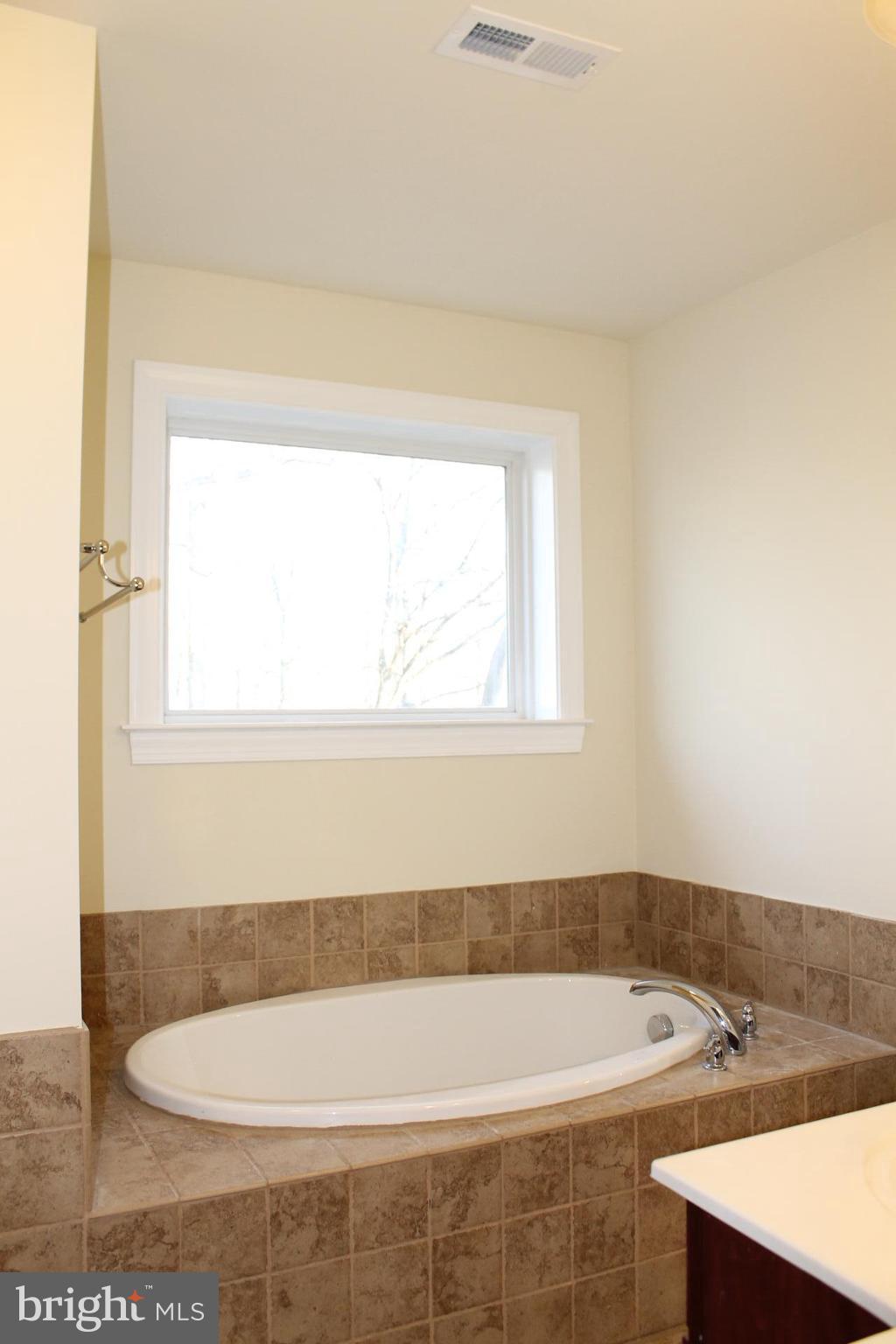 10529 Rixeyville Road Culpeper, VA 22701 - Photo 19 of 28 Soaking Tub Tile Surround & Floors
