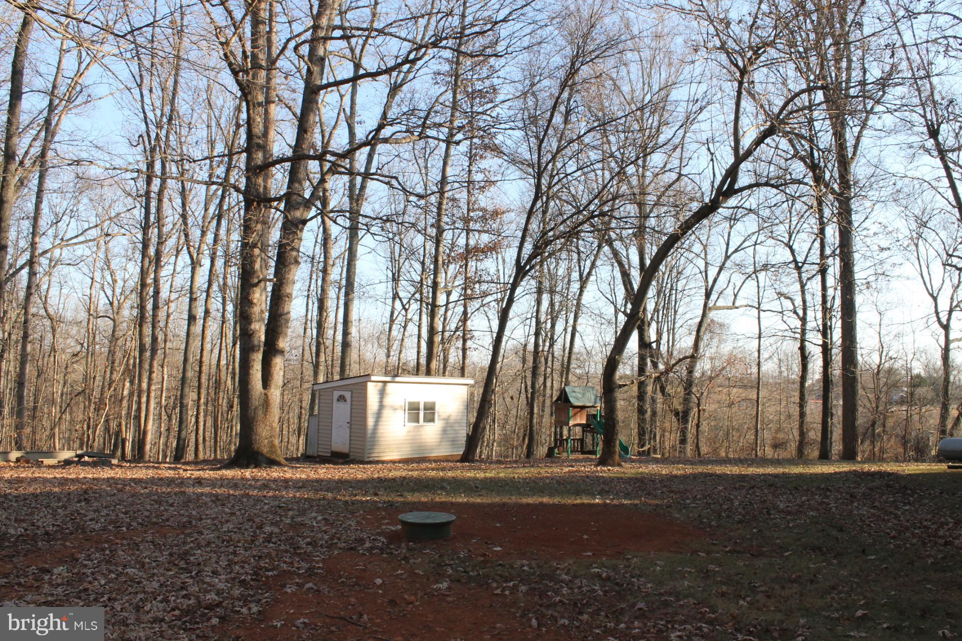 10529 Rixeyville Road Culpeper, VA 22701 - Photo 25 of 28 View From Back Yard 2 Sheds