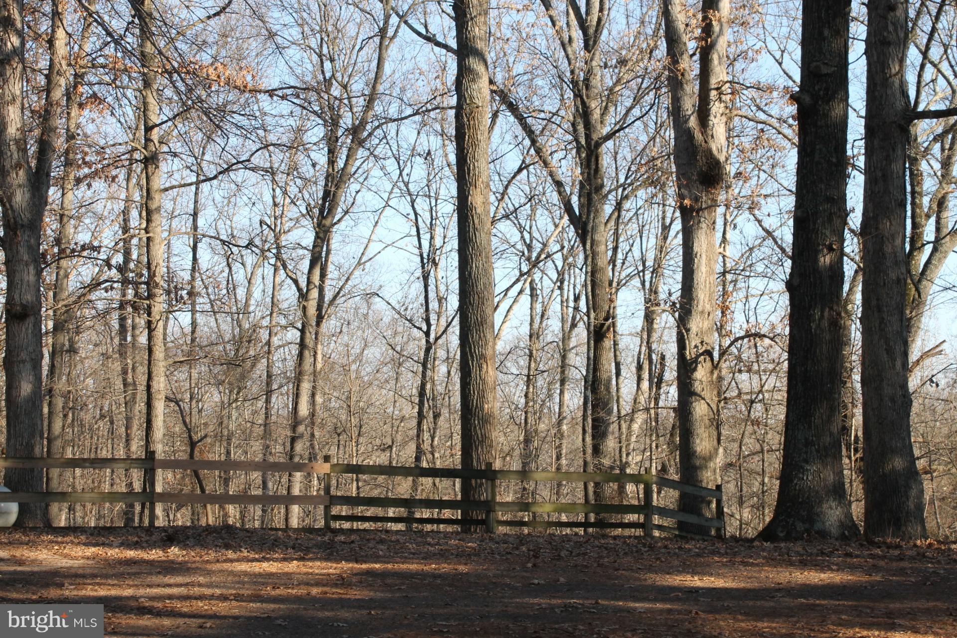 10529 Rixeyville Road Culpeper, VA 22701 - Photo 27 of 28 View Of Side Yard