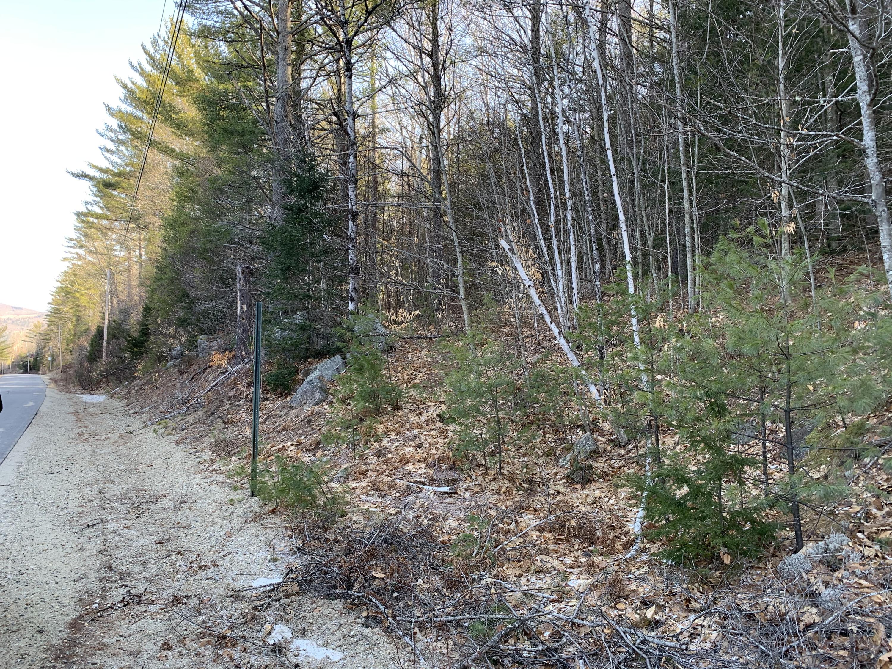 Tbd Tbd Holman Road Rumford, ME 04276 - Photo 21 of 23 Martin road frontage