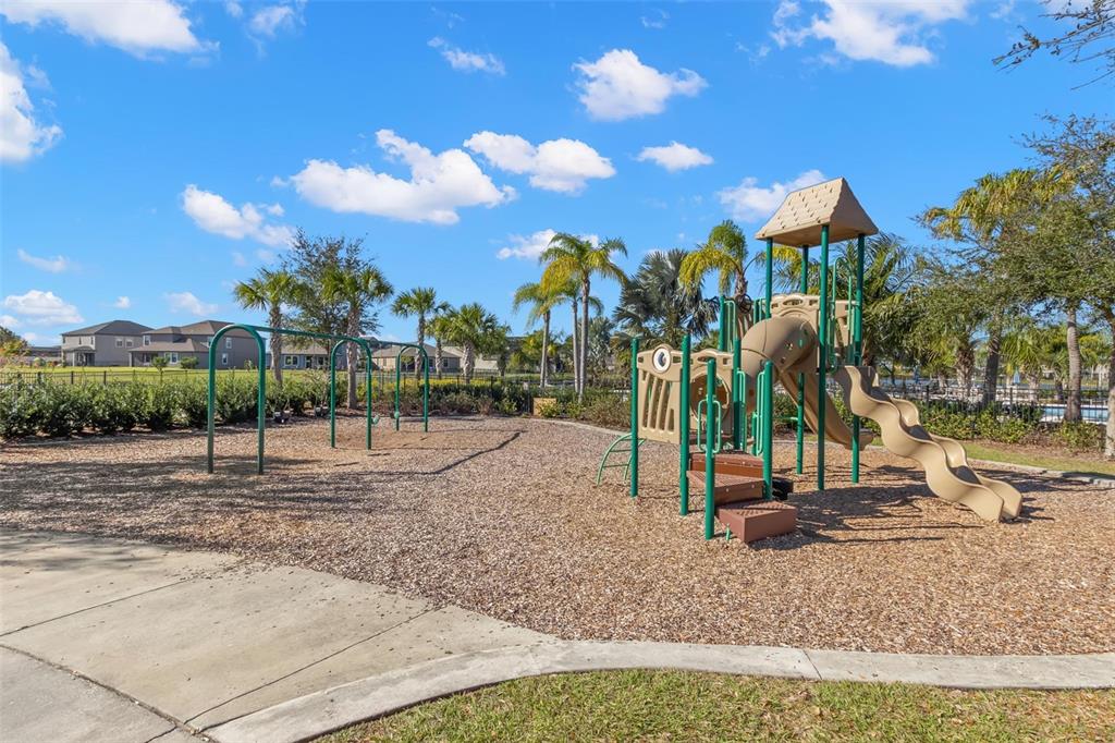 10284 Newminster Loop Ruskin, FL 33573 - Photo 67 of 72