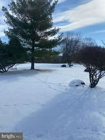 a view of outdoor space with trees