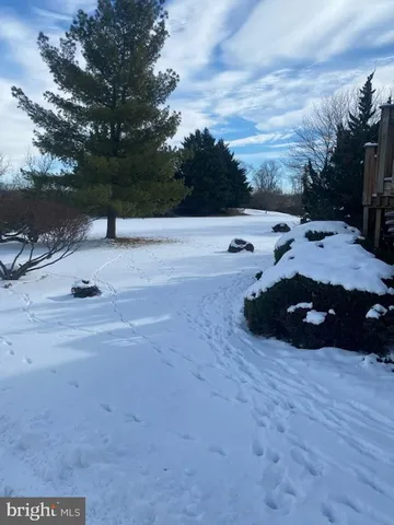 a view of swimming pool with a yard