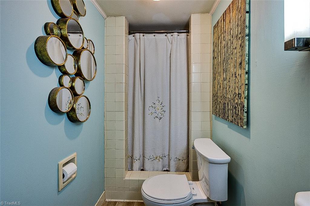 303 Coleridge Road Ramseur, NC 27316 - Photo 22 of 36 Primary BA w/Shower