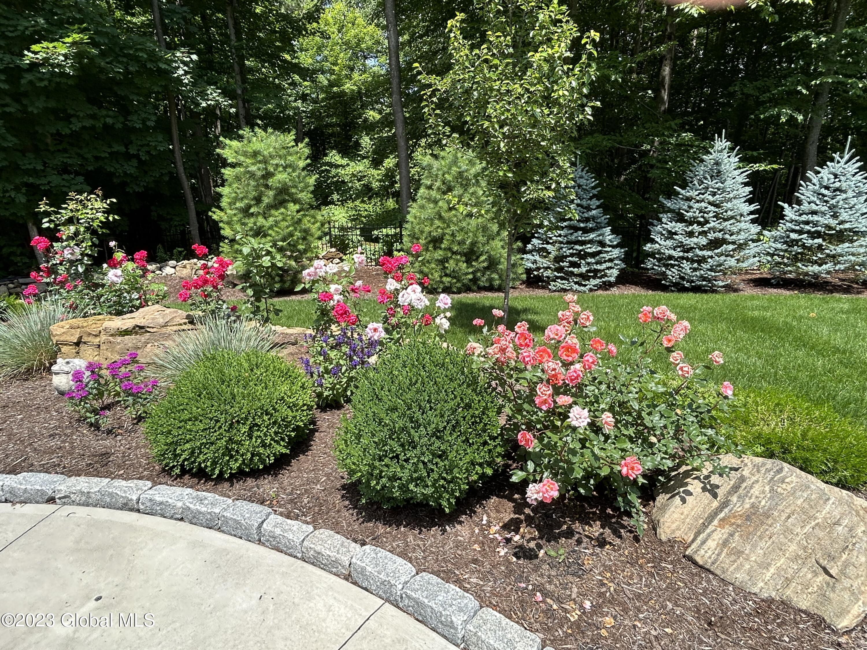 34 Old Stone Ridge Road Greenfield, NY 12833 - Photo 46 of 48 rose bushes