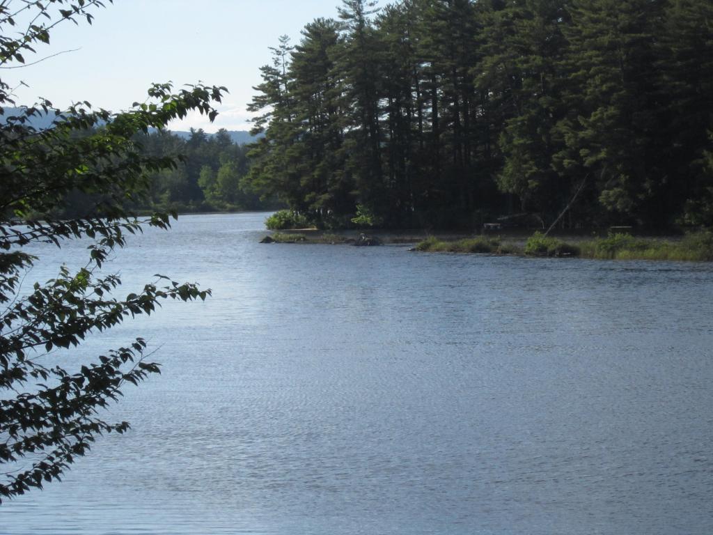 371 Bolan Road Milton, NH 03851 - Photo 12 of 22 Gallery Image 12