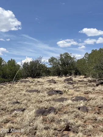 $34,900 | 66 West Ash Fork, Unit 11, Ash Fork, AZ 86320