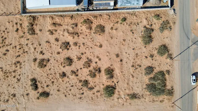 a view of a dry yard with trees