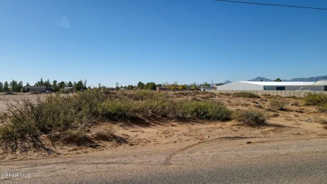 a view of a dry yard with trees