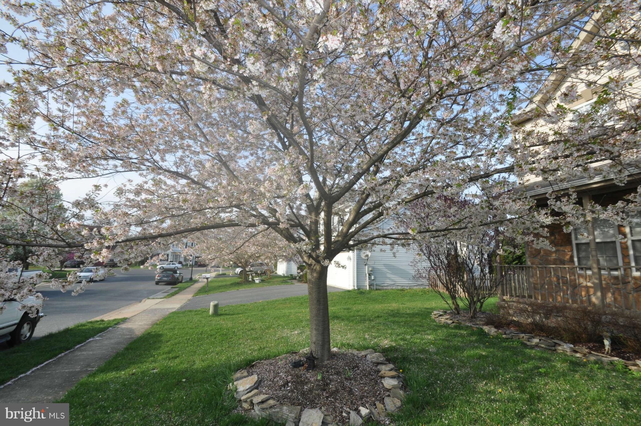 814 Aztec Drive Frederick, MD 21701 - Photo 22 of 22 Spring is Here!