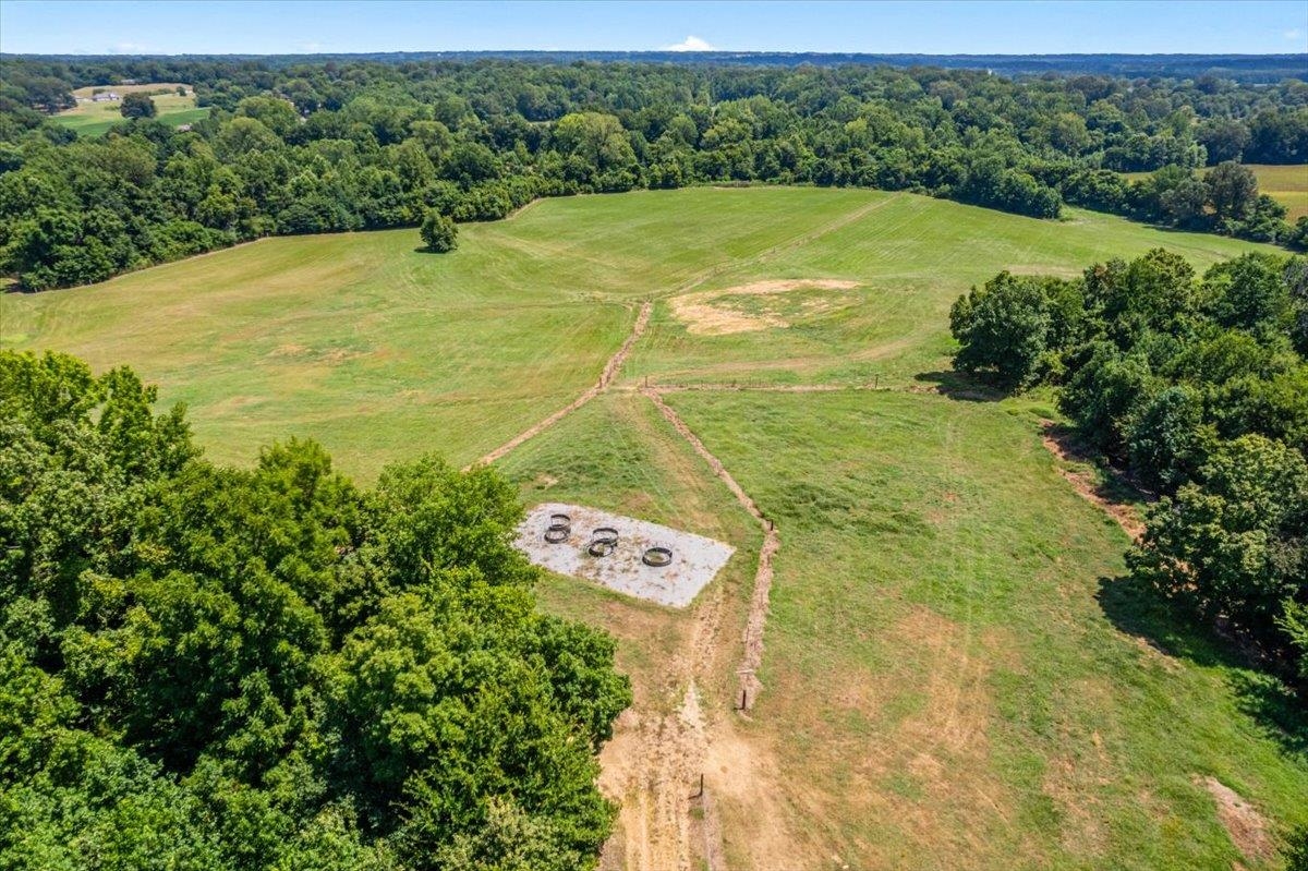 1040 Barlow Road Ripley, TN 38063 - Photo 11 of 35 a view of a big yard with large trees