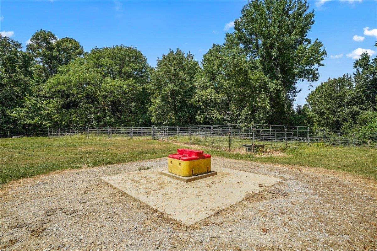 1040 Barlow Road Ripley, TN 38063 - Photo 13 of 35 a backyard of a house with lots of green space