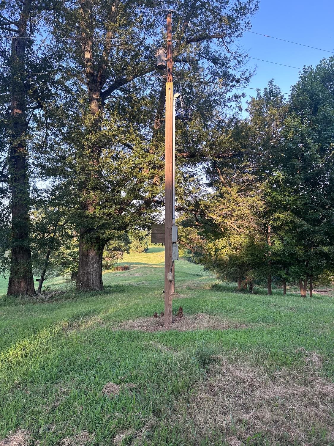 1040 Barlow Road Ripley, TN 38063 - Photo 16 of 35 a view of a trees in a park