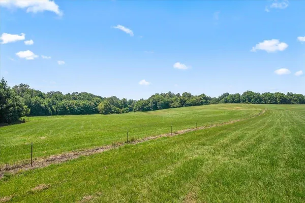 a view of a field of grass and trees