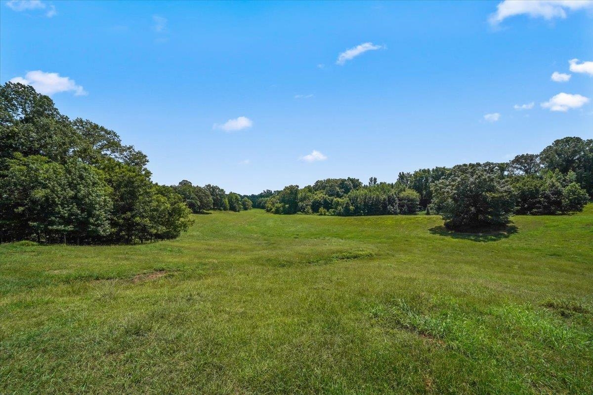 1040 Barlow Road Ripley, TN 38063 - Photo 19 of 35 a view of a field of grass and trees