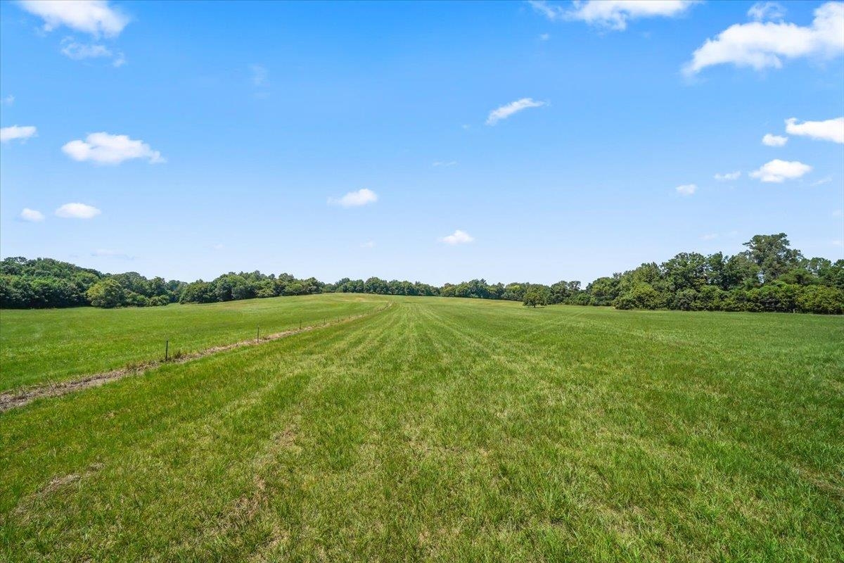 1040 Barlow Road Ripley, TN 38063 - Photo 23 of 35 a view of a green field with clear sky