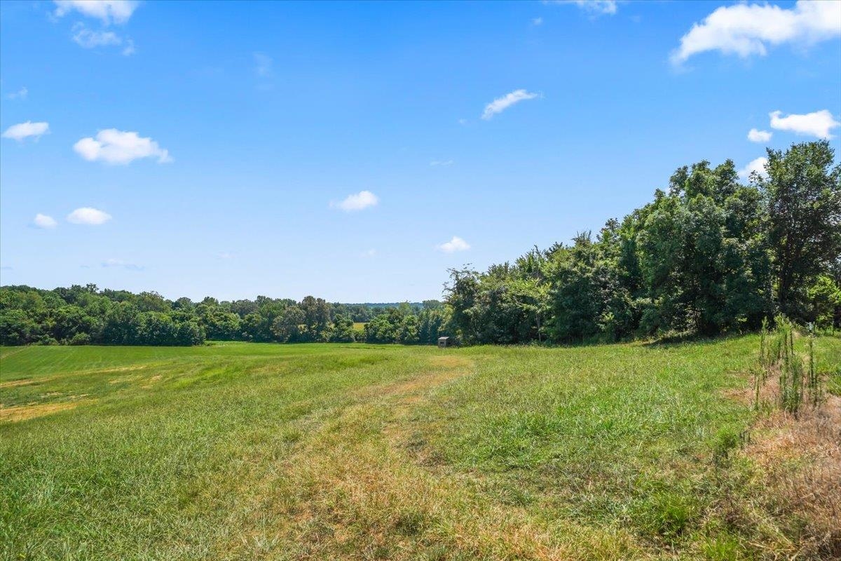 1040 Barlow Road Ripley, TN 38063 - Photo 27 of 35 a view of outdoor space and yard