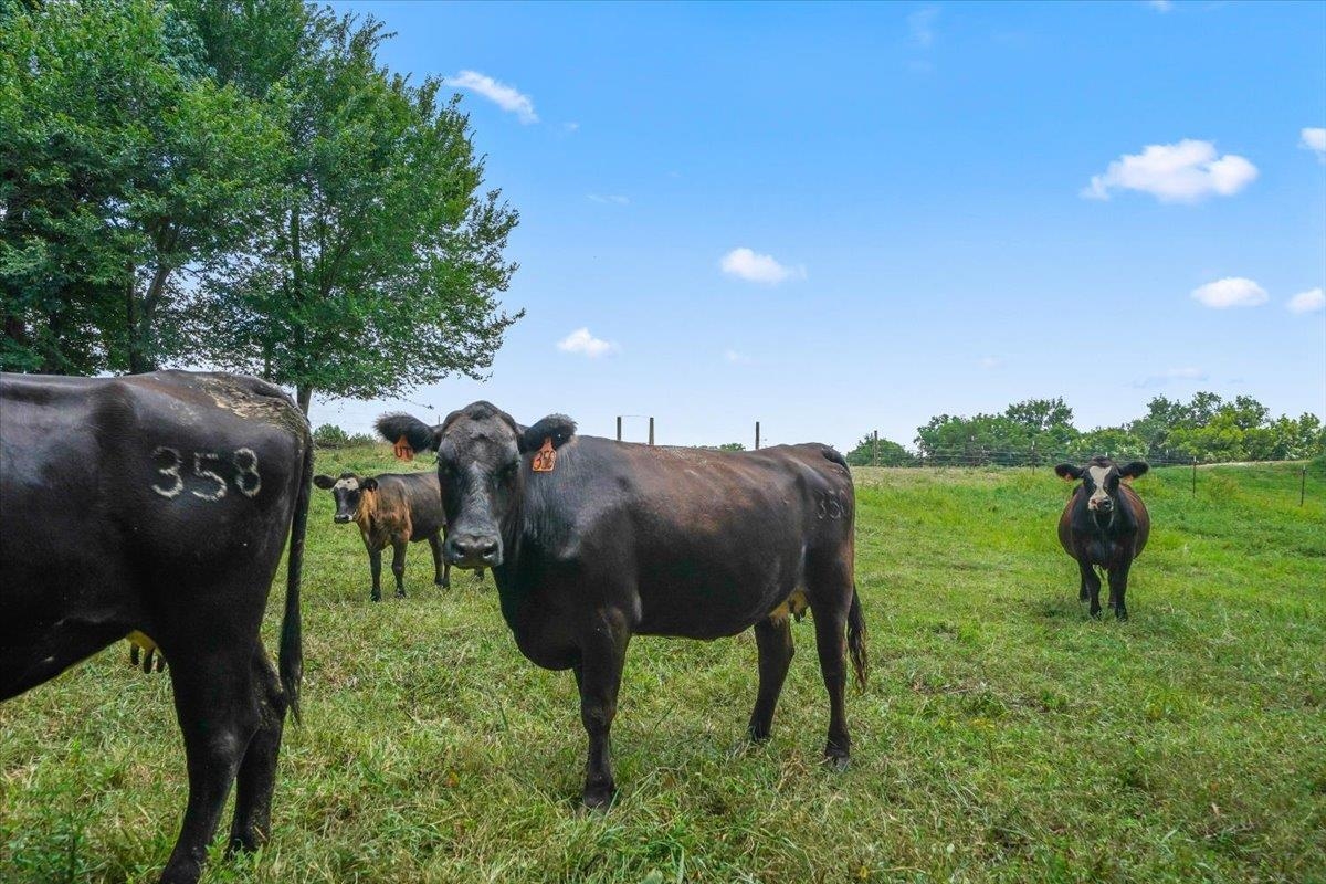 1040 Barlow Road Ripley, TN 38063 - Photo 28 of 35 a view of outdoor space and yard