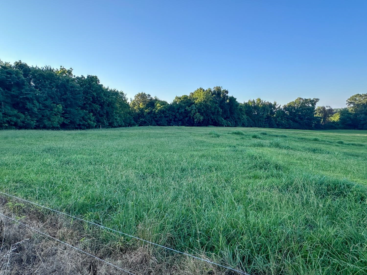 1040 Barlow Road Ripley, TN 38063 - Photo 33 of 35 a view of an outdoor space and a yard